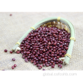 China Small Red Bean Nutritional Manufactory